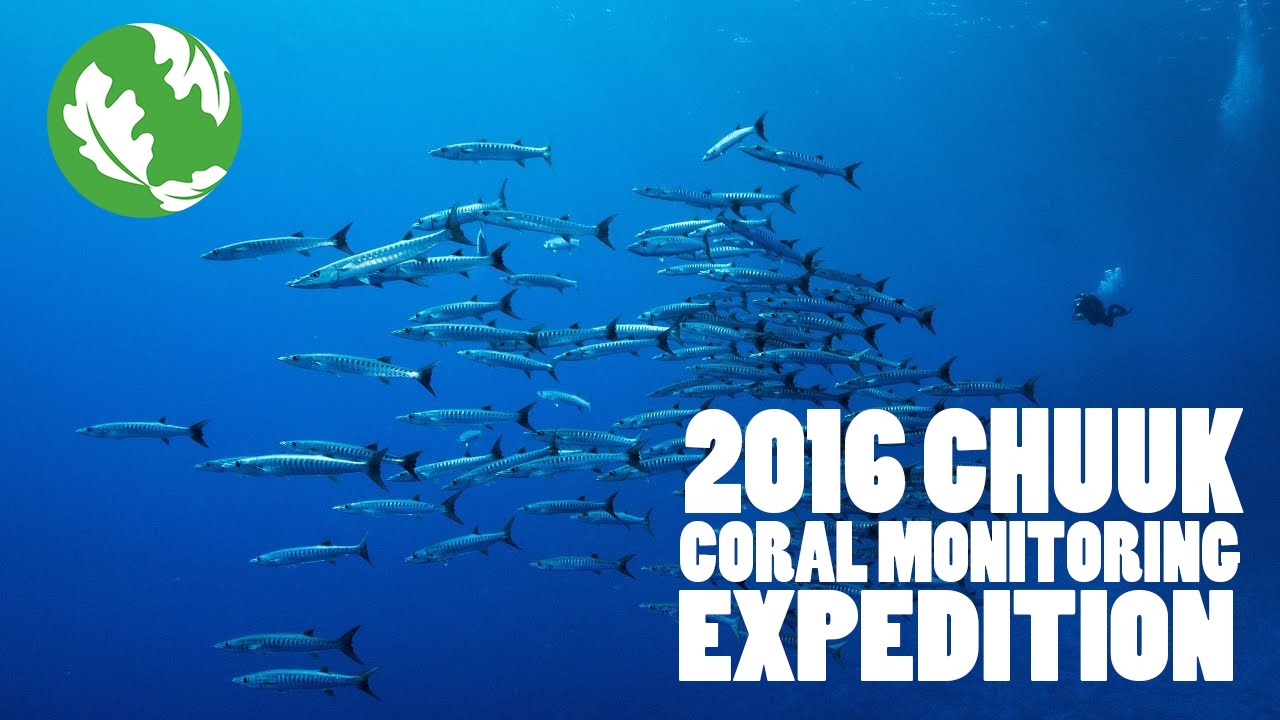 Chuuk Coral Expedition by TNC - July 2016