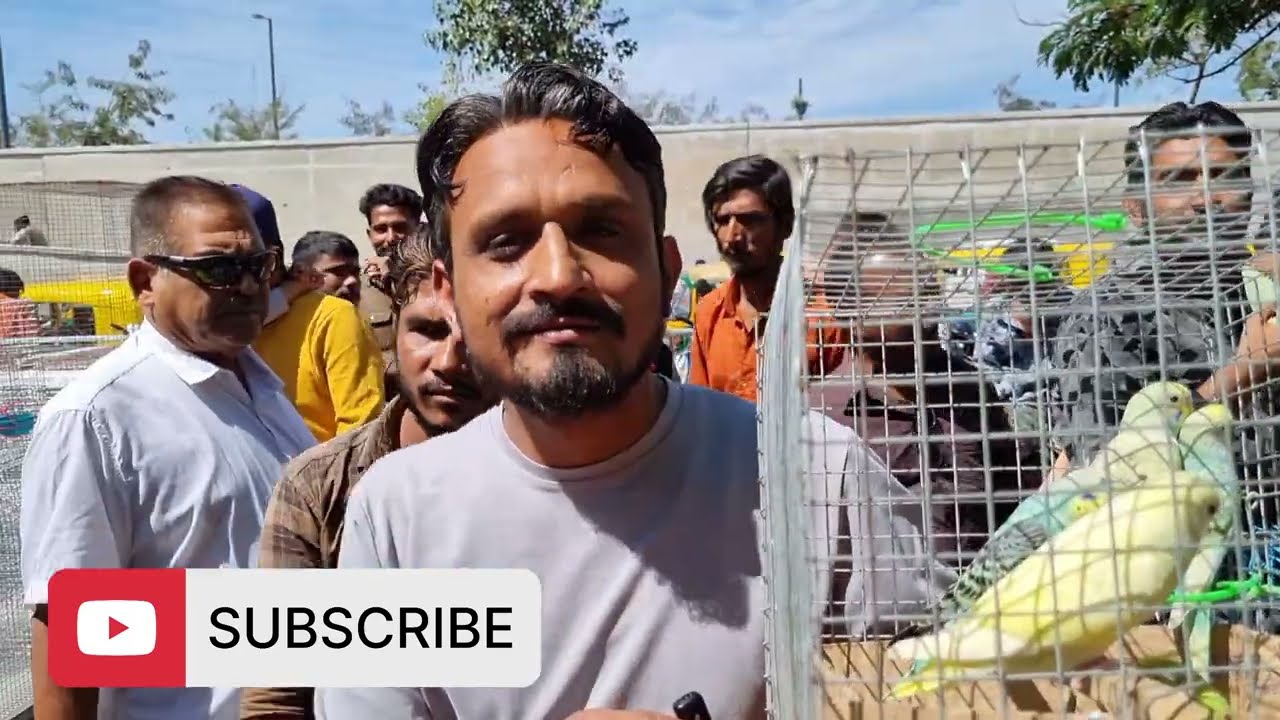 SUNDAY BIRD'S MARKET AHMEDABAD || 3 March 2024