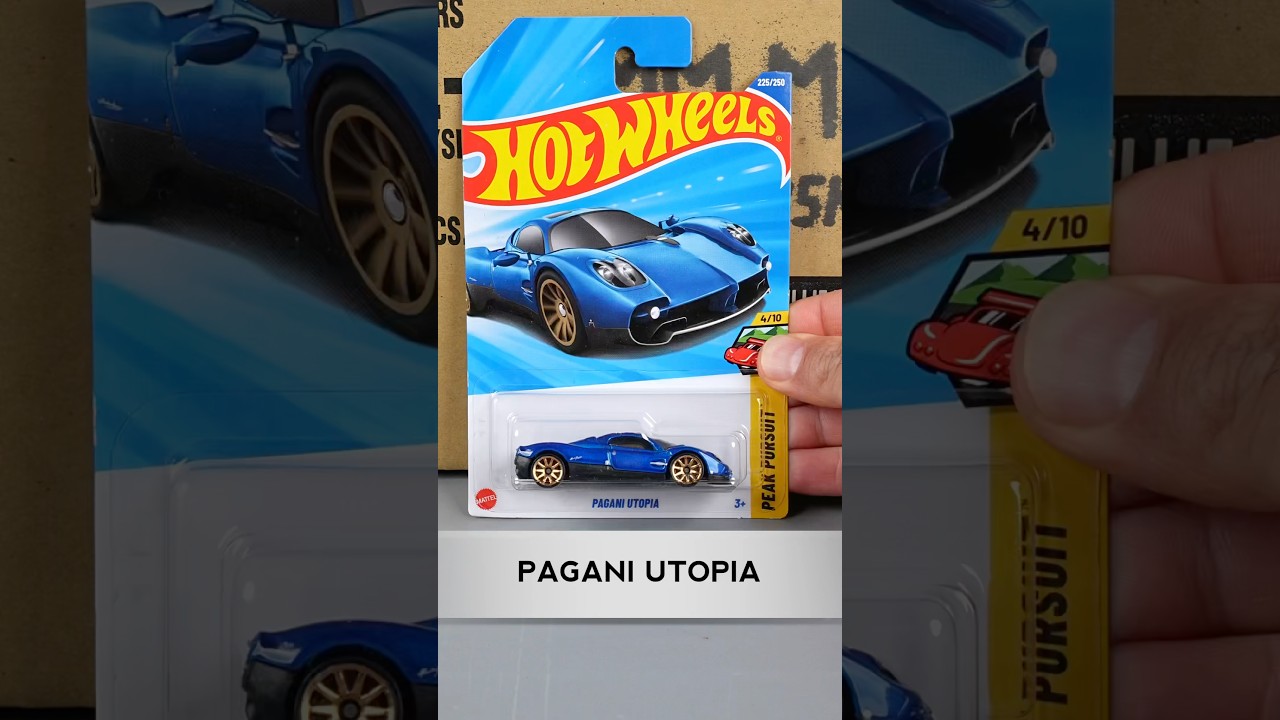 Winner of 2025 Hot Wheels M Case