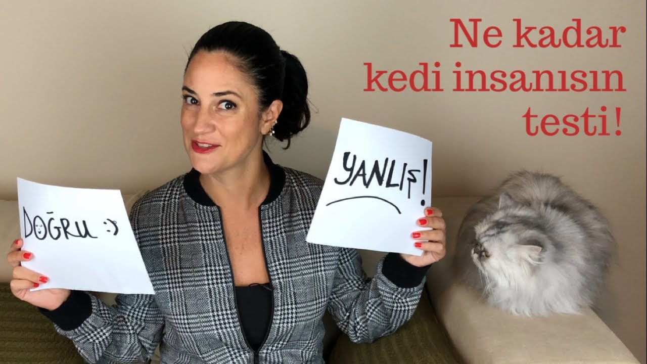 Kedileri ne kadar iyi tanıyorsun? Ne kadar kedi insanısın? Testi çöz, hemen cevabı bul...
