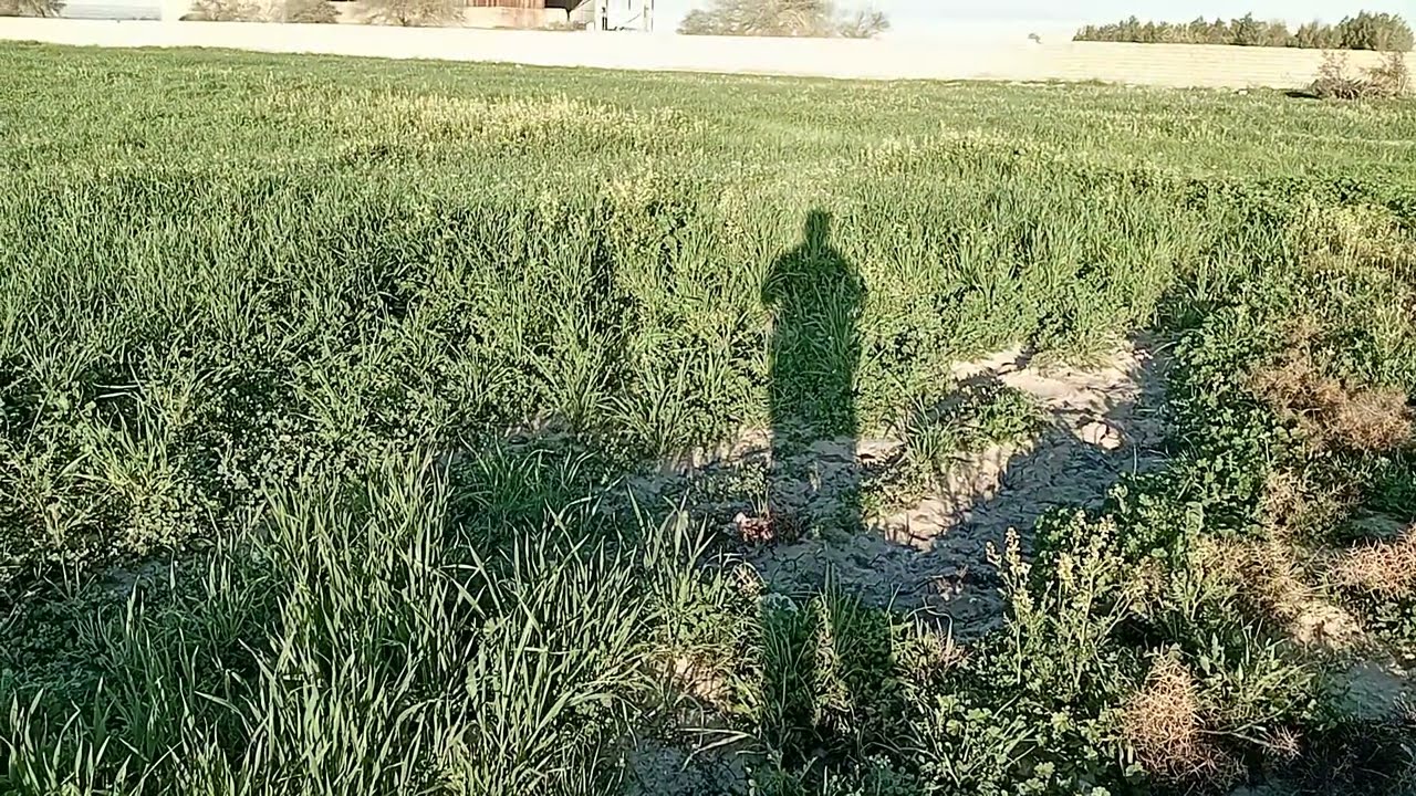 ۲۶ فوریهٔ ۲۰۲۶