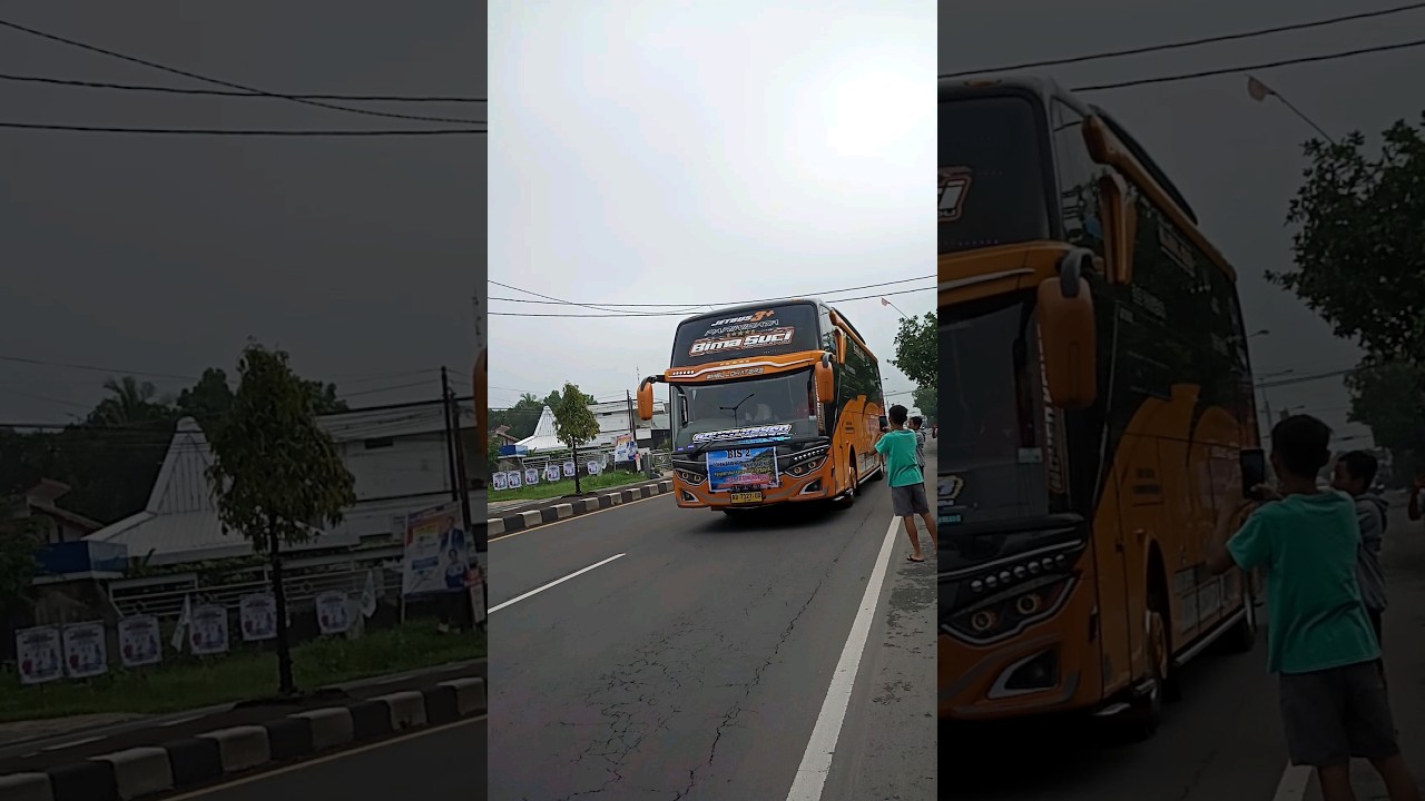 basuri bus bima suci #basuri #bis #telolet #viral #busmania #fyp