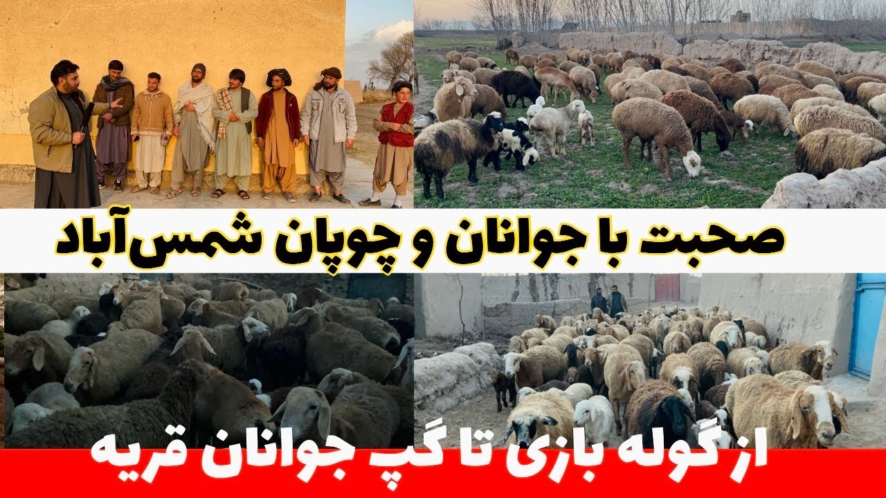 حال وهوای مردم قریه در شب وروز های سرد زمستانی هرات ؟