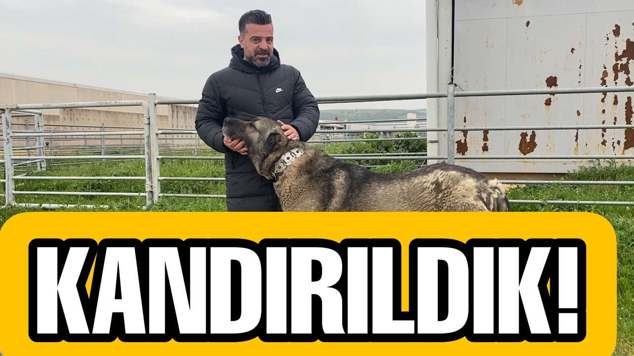 KANDIRILDIK! Kandırılmayın!