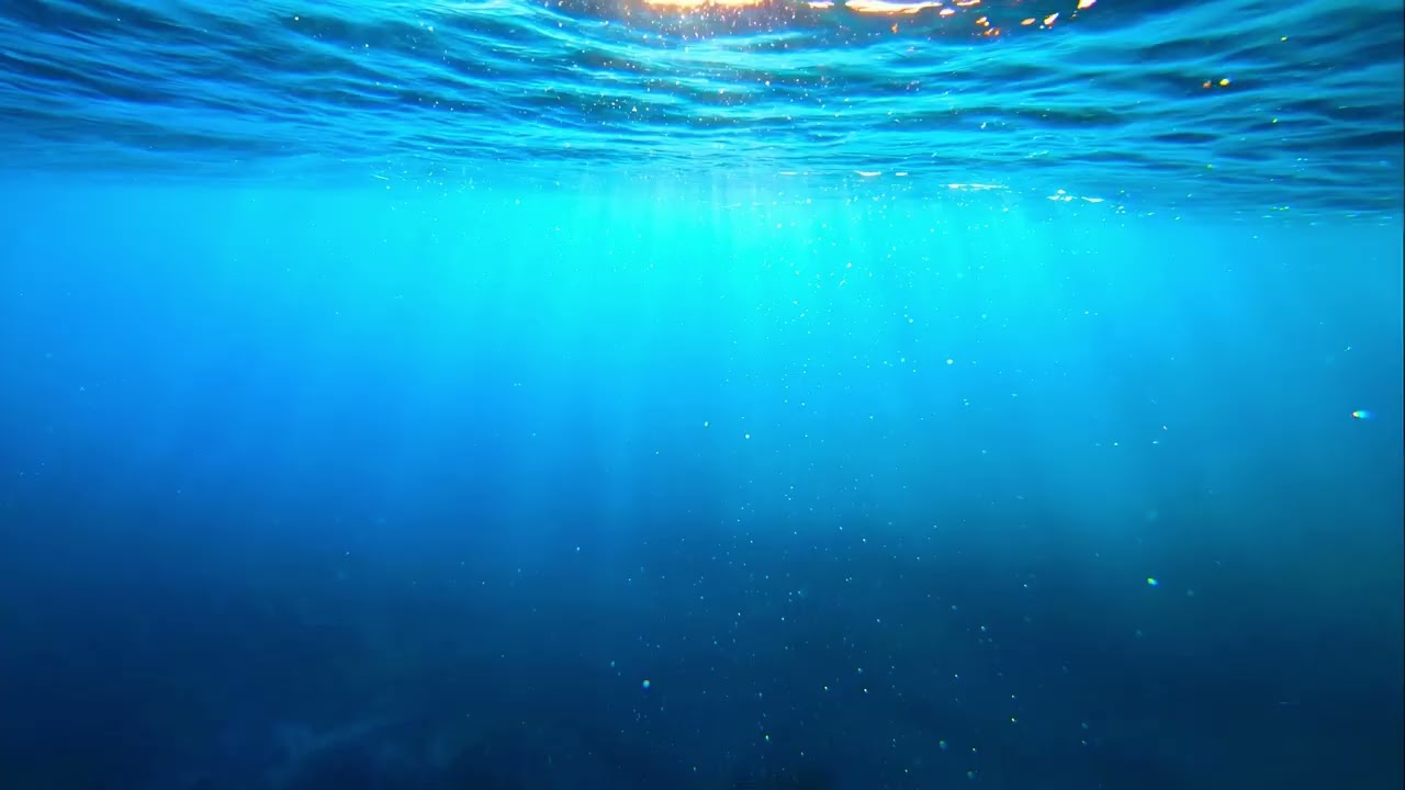 Gregory Ocean - underwater mystery | Introspective Ambient Music