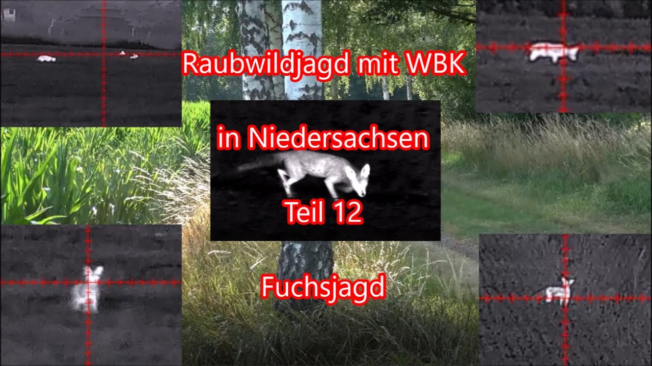 Raubwildjagd - Predator hunting - mit WBK in Niedersachsen Teil -12