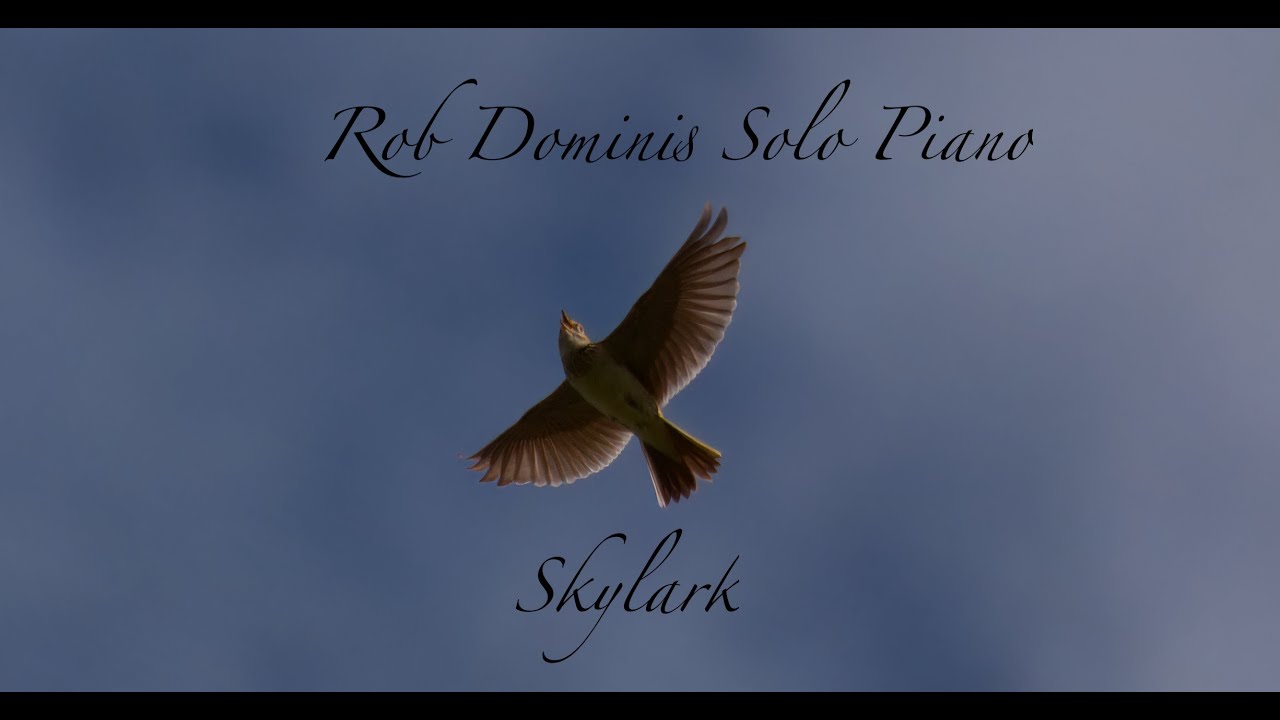 Skylark - Rob Dominis Solo Piano
