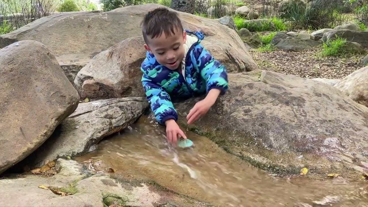 Mighty Twins' Dino Adventure at Santa Barbara Natural History Museum & Ostrichland Fun!