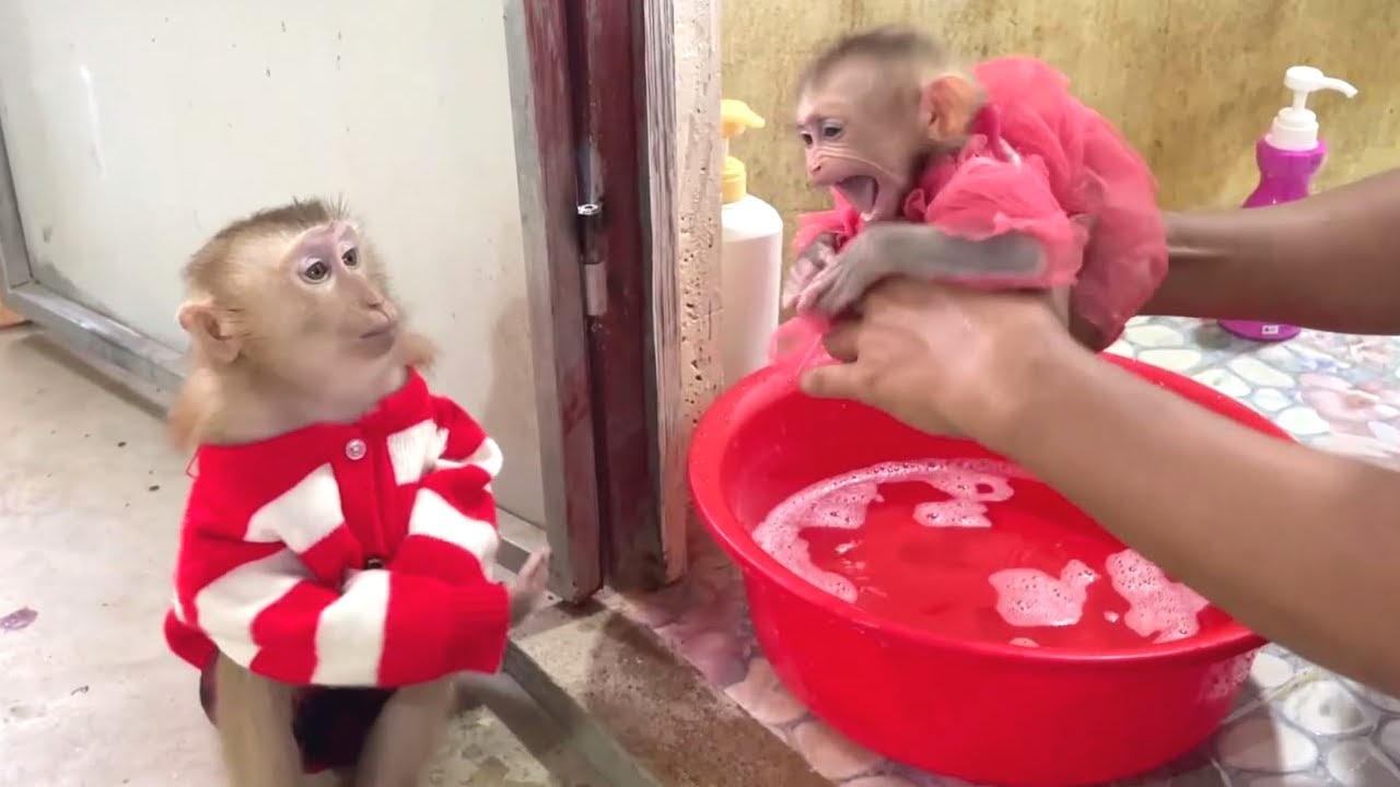 Wow Hailey Encourage Baby Jessa Clean Diaper Refreshing