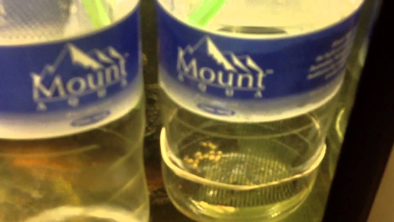 My 2 DIY egg tumbler