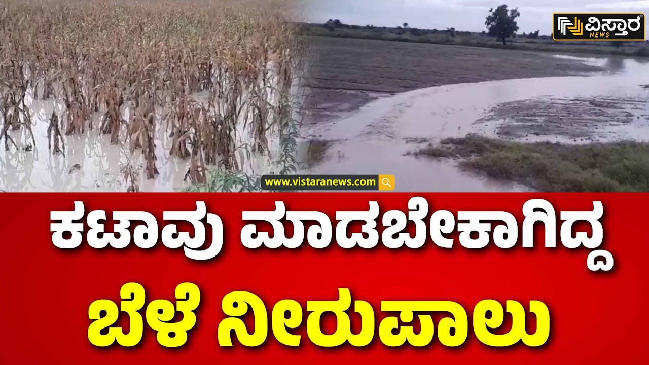 Koppala Distarict Heavy Rain |ನಿರಂತರ ಮಳೆಯಿಂದ ಸಂಕಷ್ಟಕ್ಕೆ ಸಿಲುಕಿದ ರೈತರು | Vistara News
