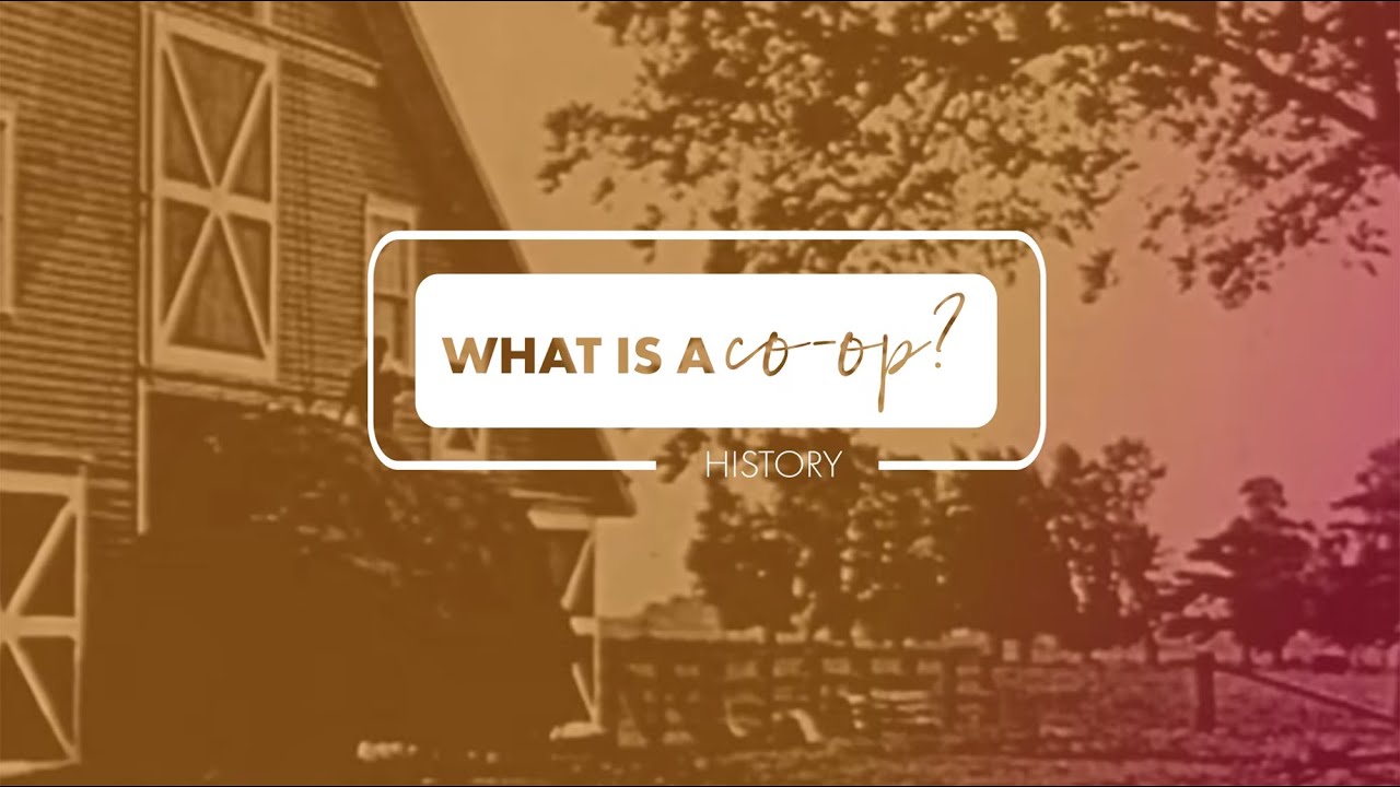 What is a Co-op? History