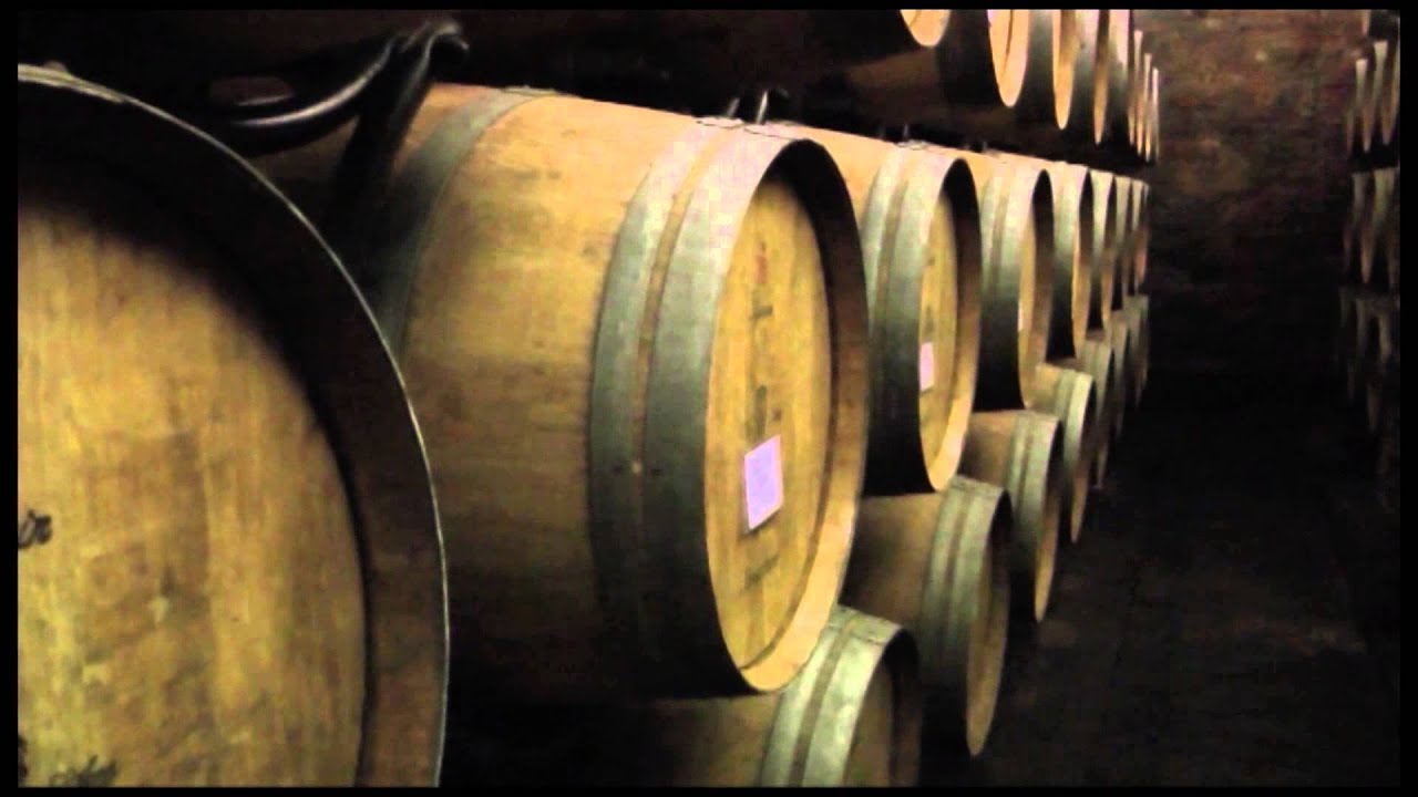 Strade vino nobile montepulciano