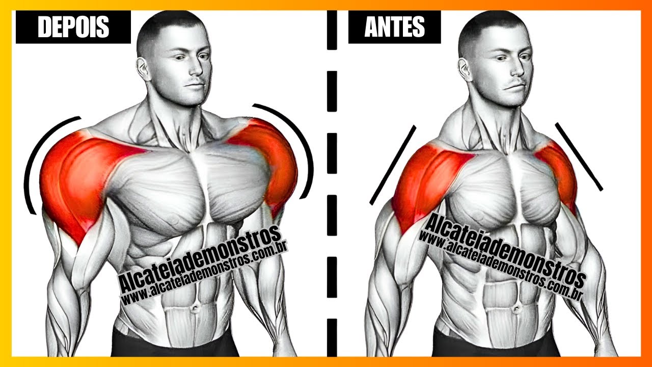 TREINO COMPLETO DE OMBRO: 14 EXERC&Iacute;CIOS PARA OMBROS DEFINIDOS NA ACADEMIA