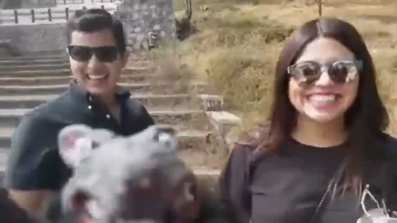 Ej&eacute;rcito Peludito y Cerdonio Fif&iacute; (Video del recuerdo)