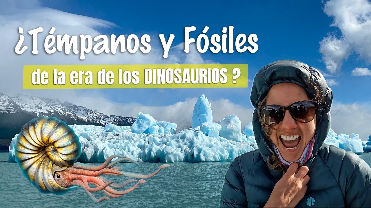 FOSSIL CANYON in Argentina 🇦🇷 - UPSALA GLACIAR