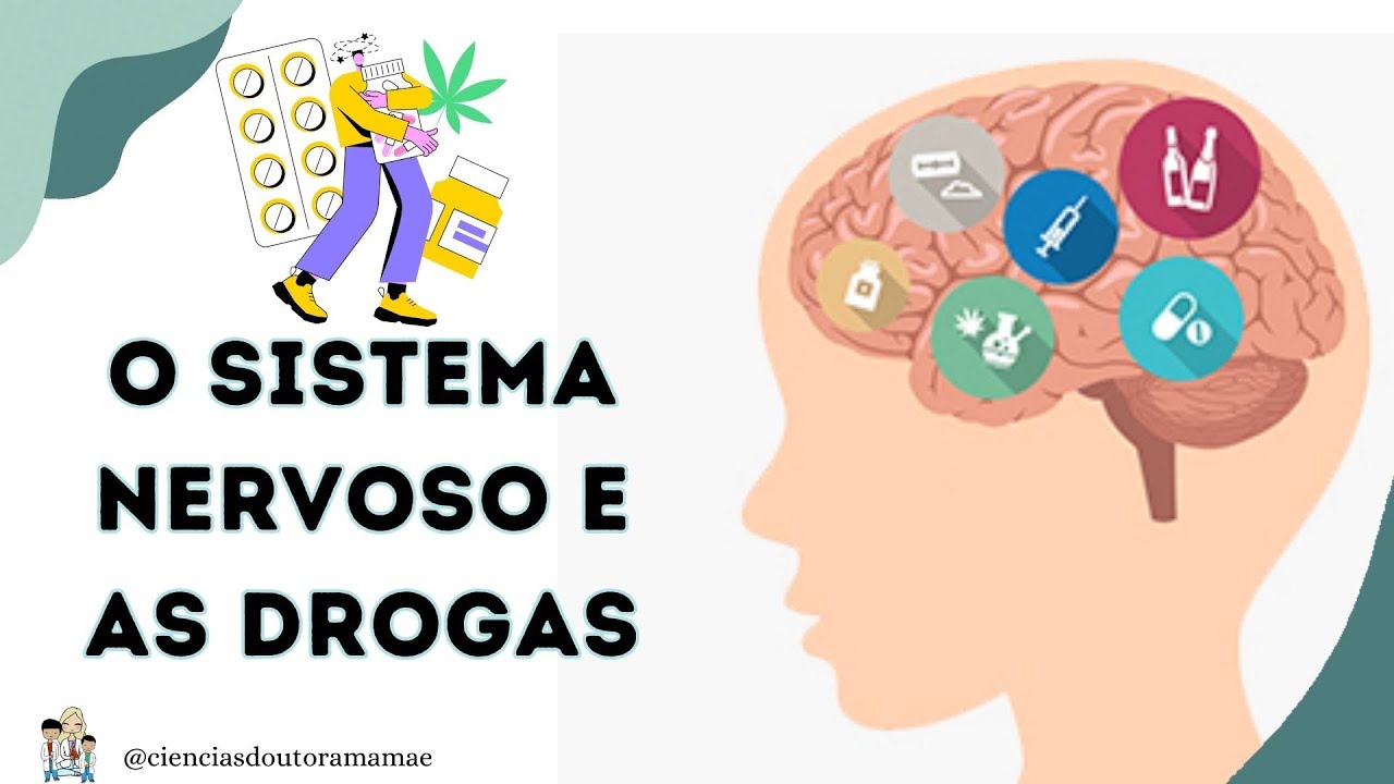 Sistema Nervoso e as Drogas 6º ano