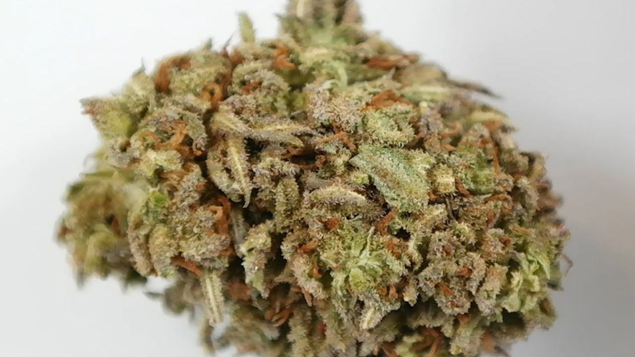 CBD flower review: Elektra from Tweedle farms