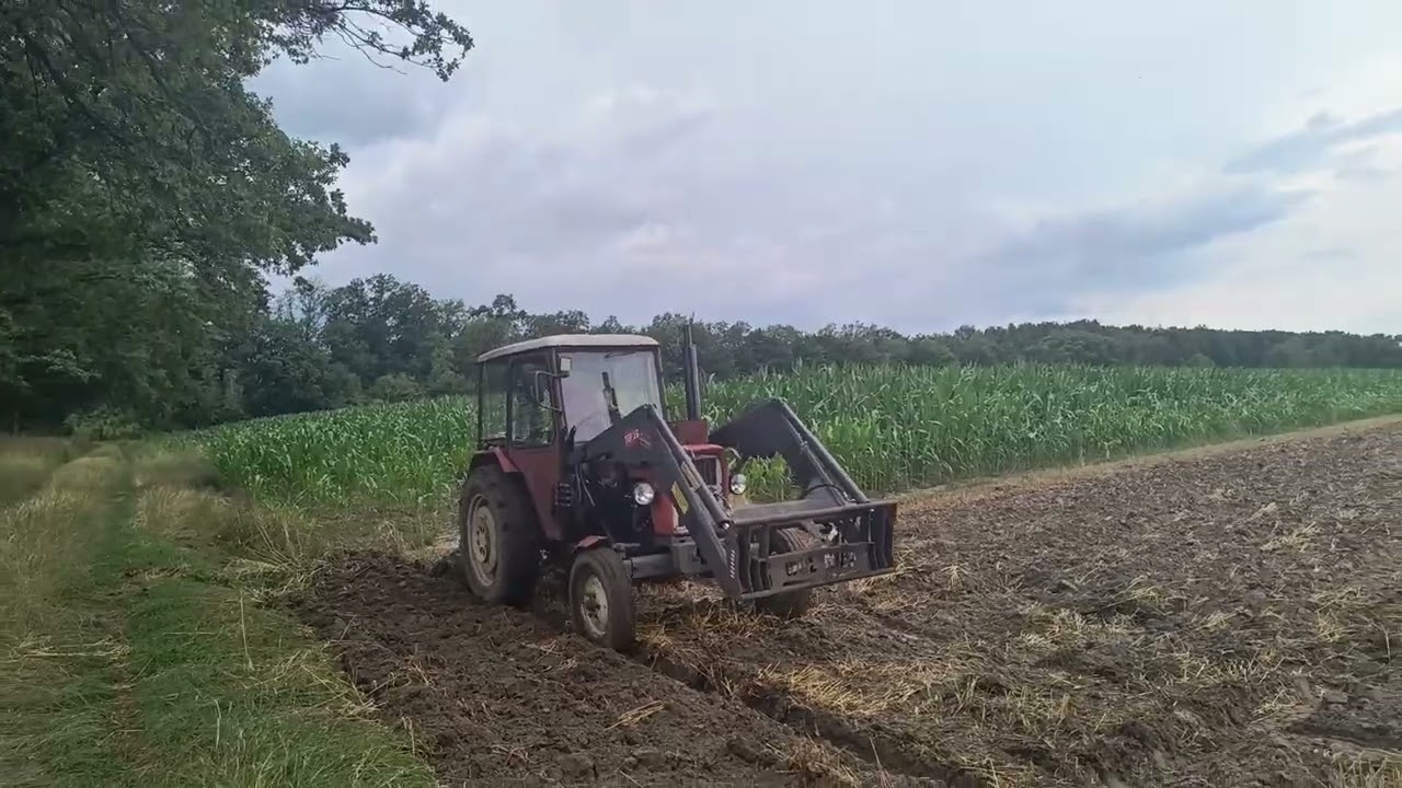 Koszenie pszenżyta & podorywka po jęczmieniu  #farming #automobile #agriculture #rolnictwo  #ursus
