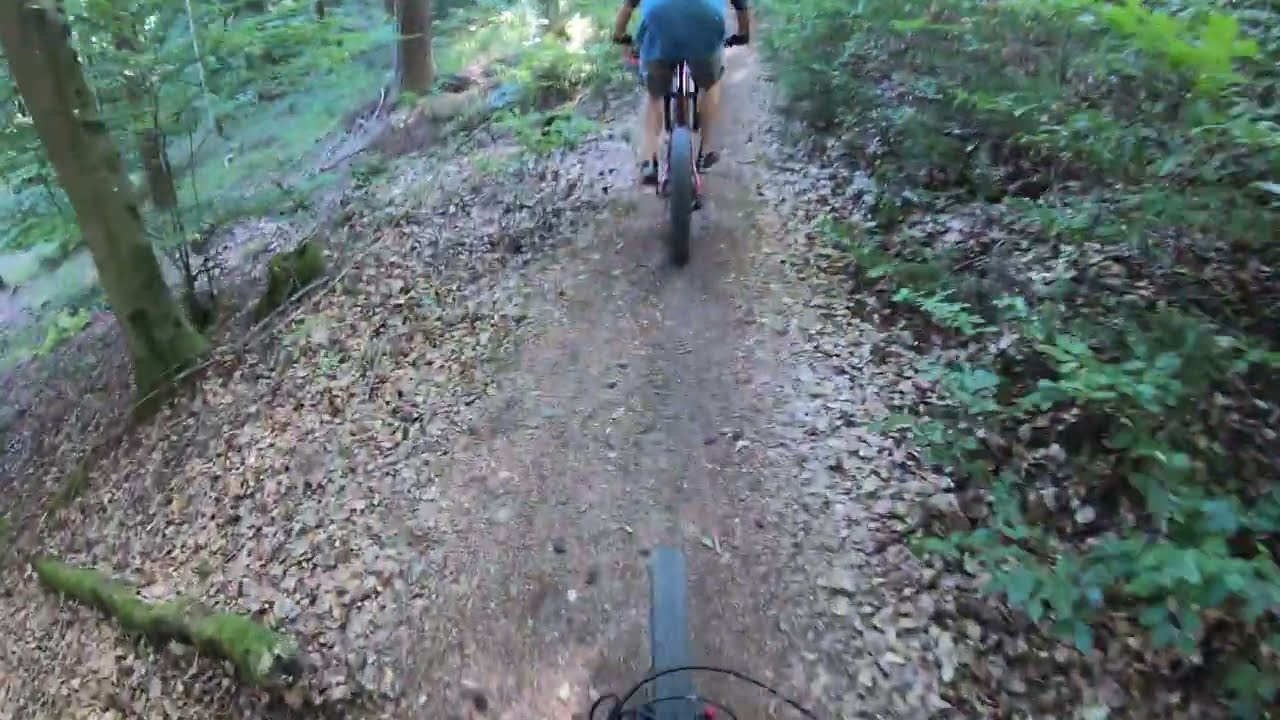 MTB Pfälzerwald / Palatinate Forest - Hellerhütte/Totenkopfhütte/St Martin/Weingut Ernst Public 08