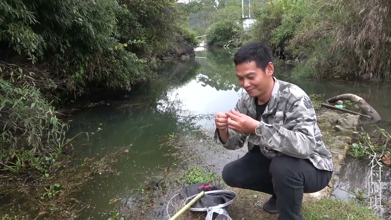 钓友大叔推荐的钓位，阿琪下竿开钓收获不错，一起去看看
