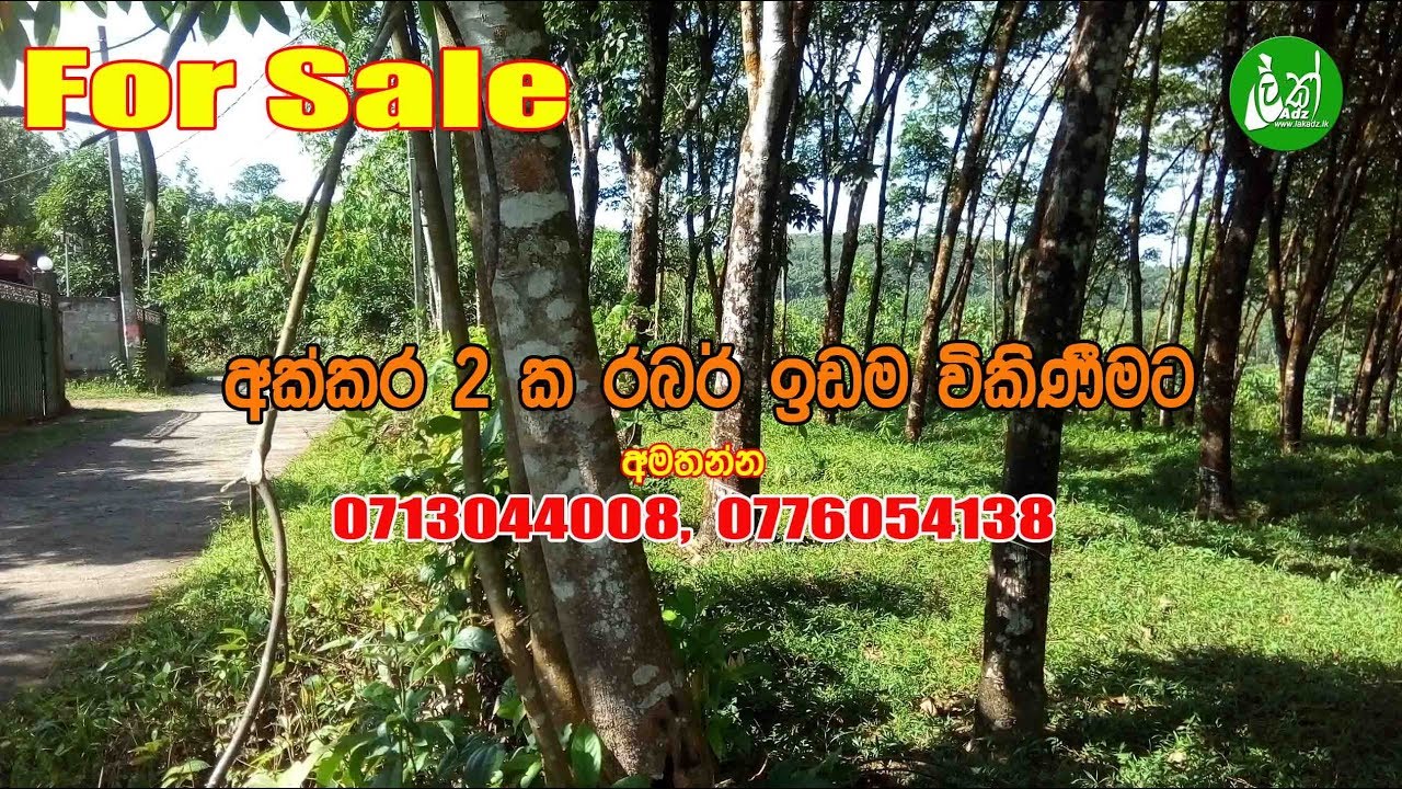 Rubber Land for sale.
