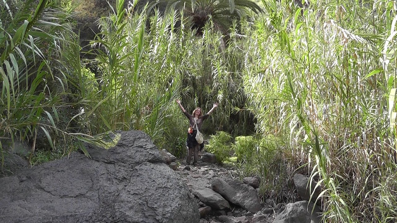 Gomera   Wanderung zum Wasserfall Valle Gran Rey