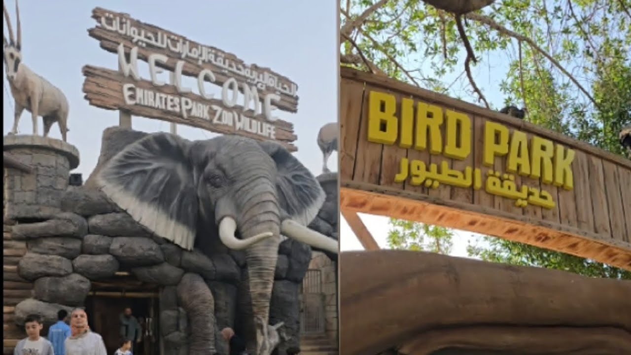 Park zoo wildlife #birdspark #wildlife #family #Birds ##animals #animalshorts #viralvideo #elephant 