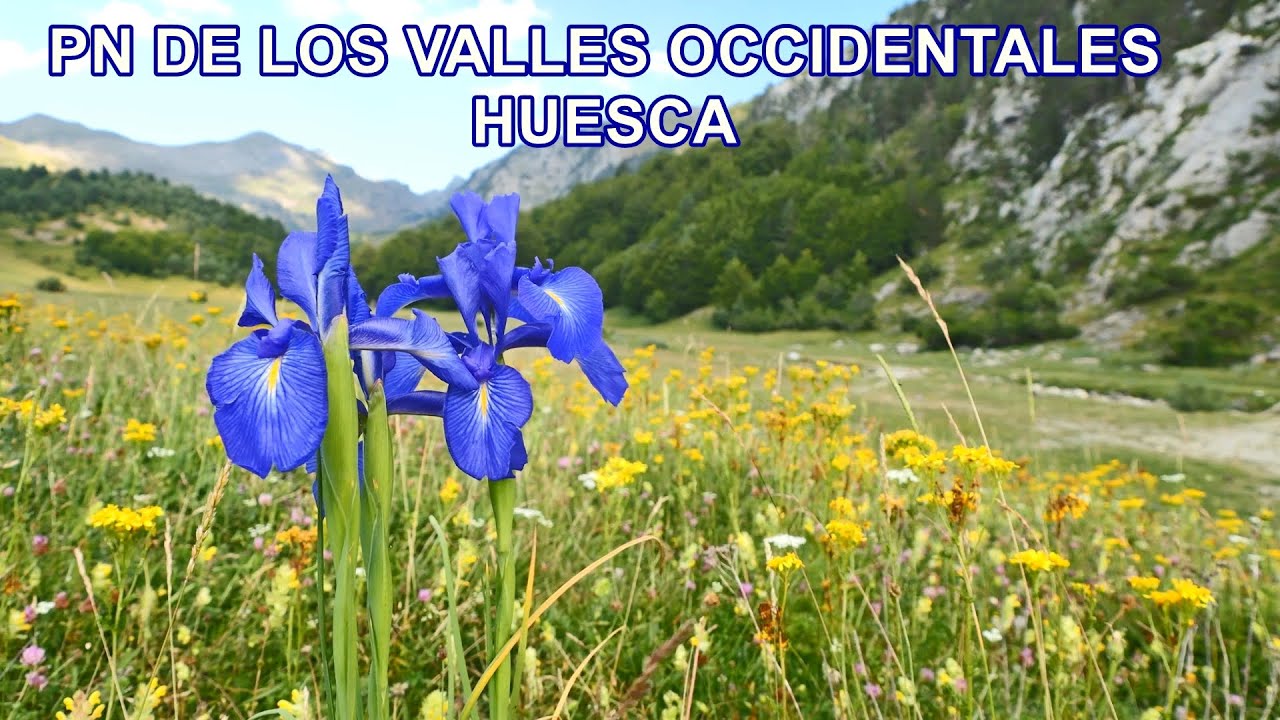 Wild Spain - Capítulo 266 - Parque Natural de los Valles Occidentales, Huesca.