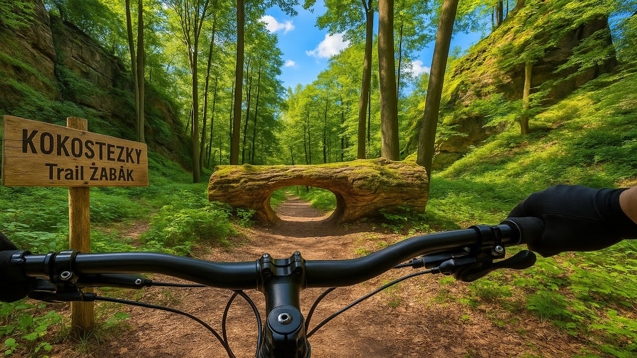 KOKOSTEZKY vol.36 | 🚴‍♂️ MTB Trail Žabák  & Trail Bořejov  | Skryté stezky v srdci Kokořínska 🏞️