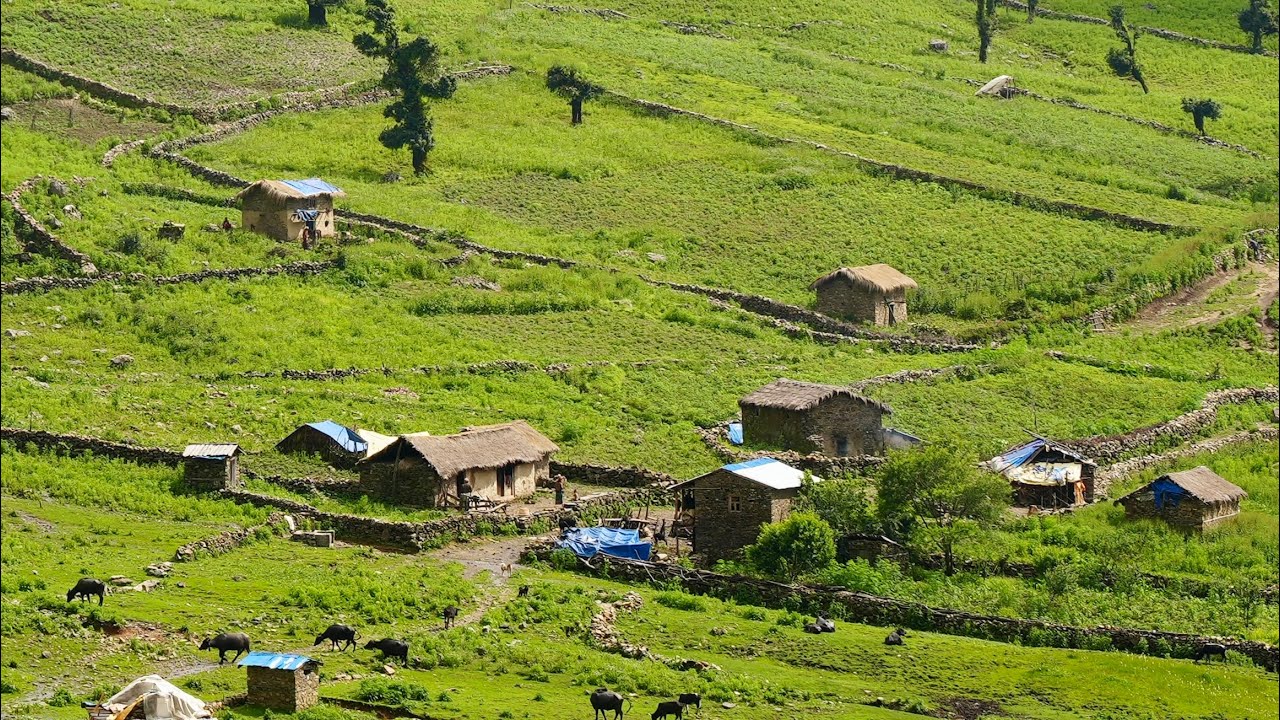 Very Happy People in Nepali Rural Village || Peaceful Nepali Village Lifestyle || IamSuman