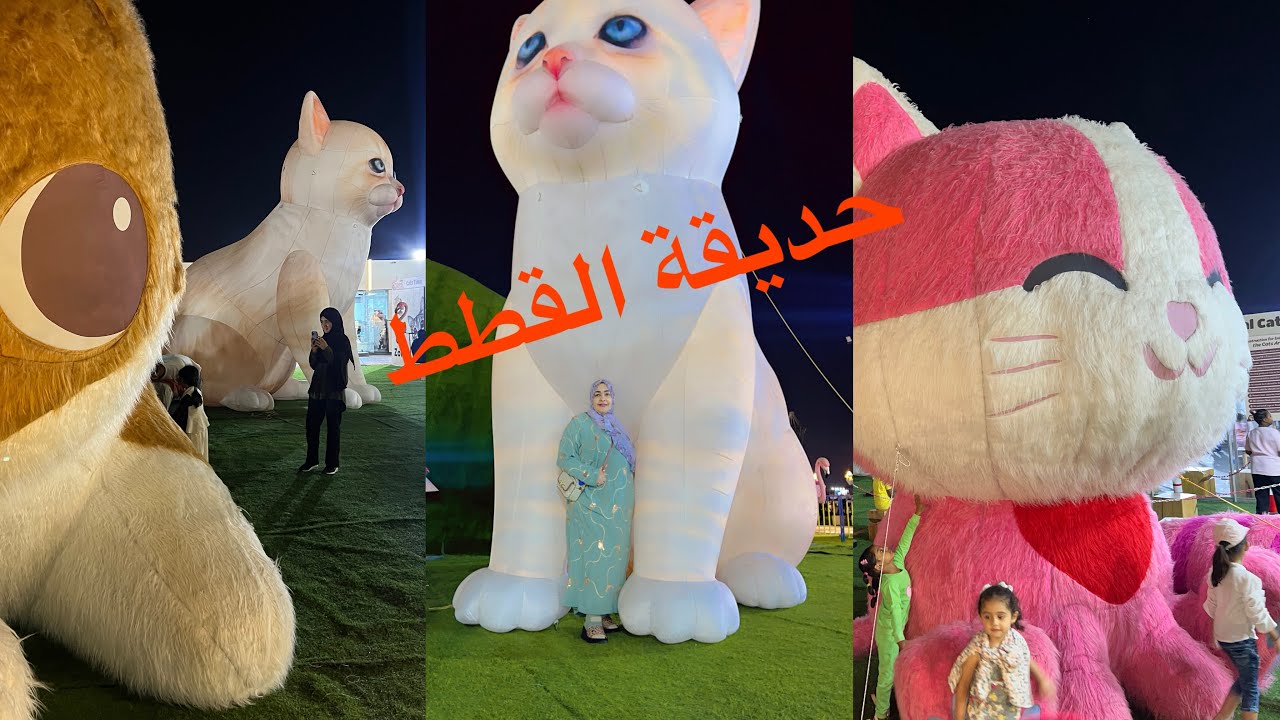 مكان مميز للكبار وصغار حديقة القطط