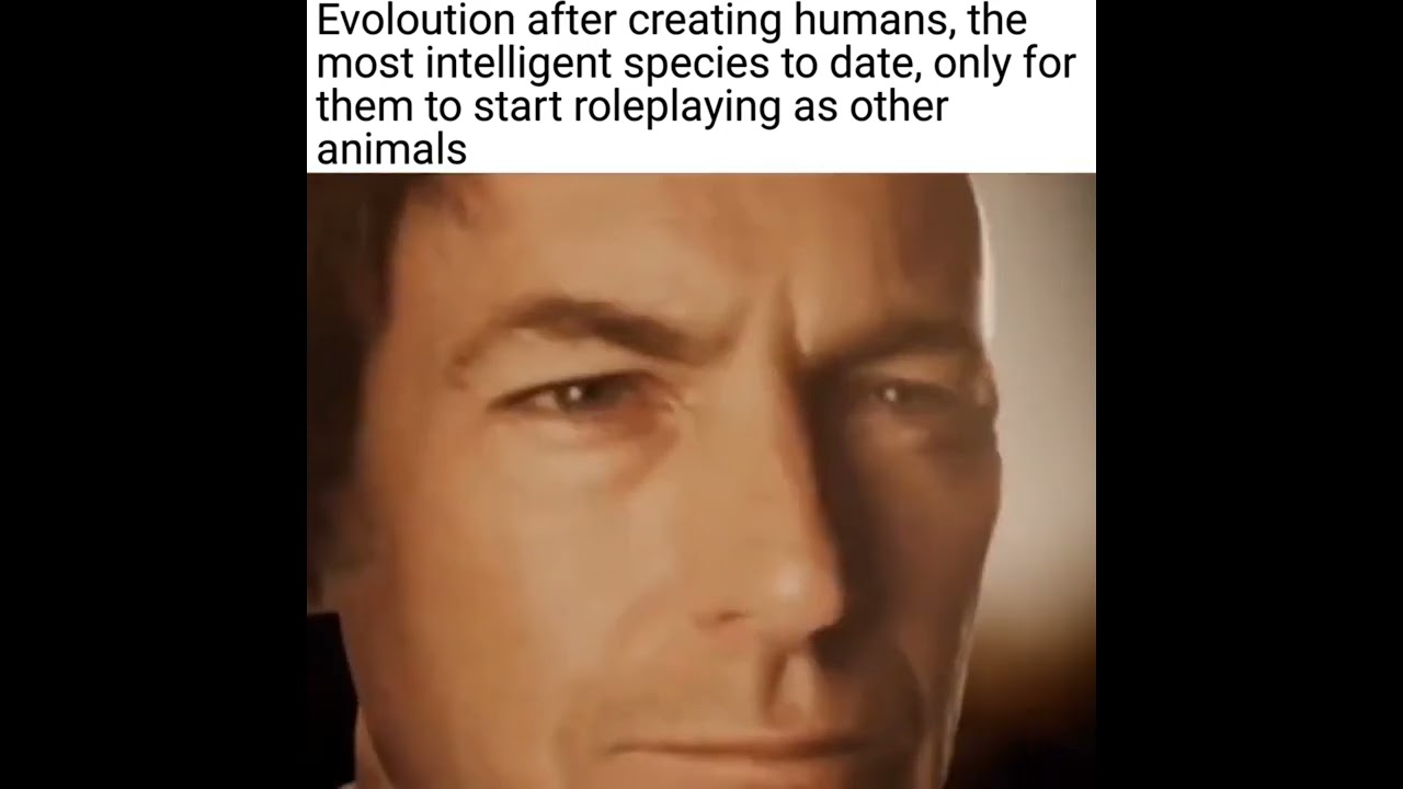 Anti Furry meme comp [ the longest one ]