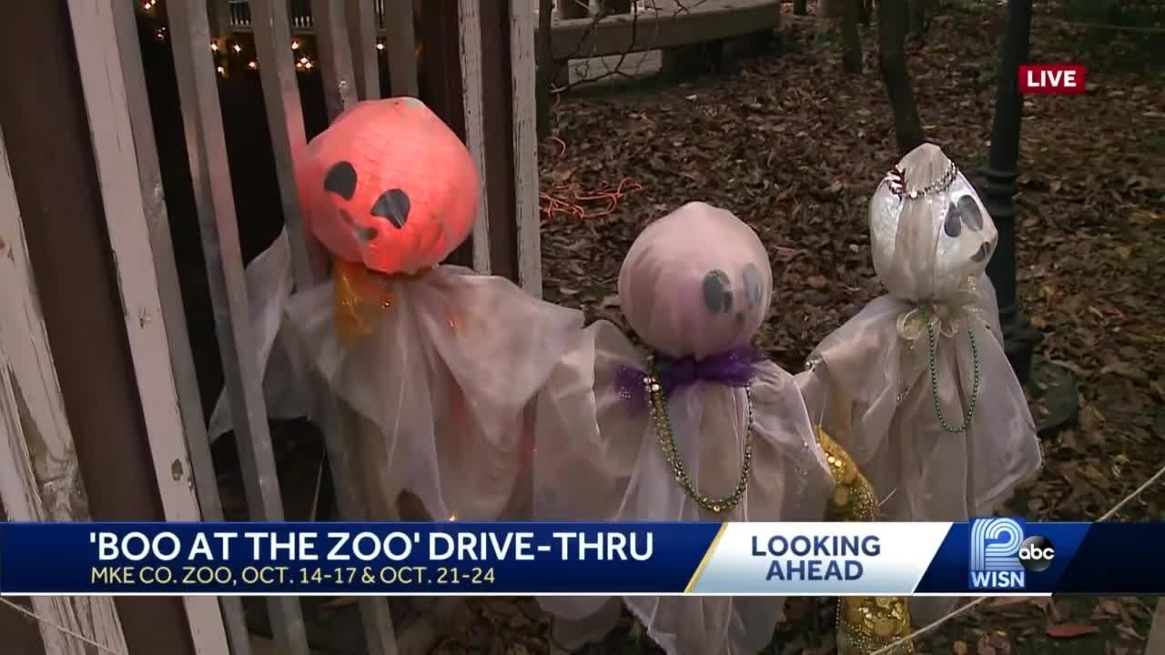 'Boo at the Zoo' returns