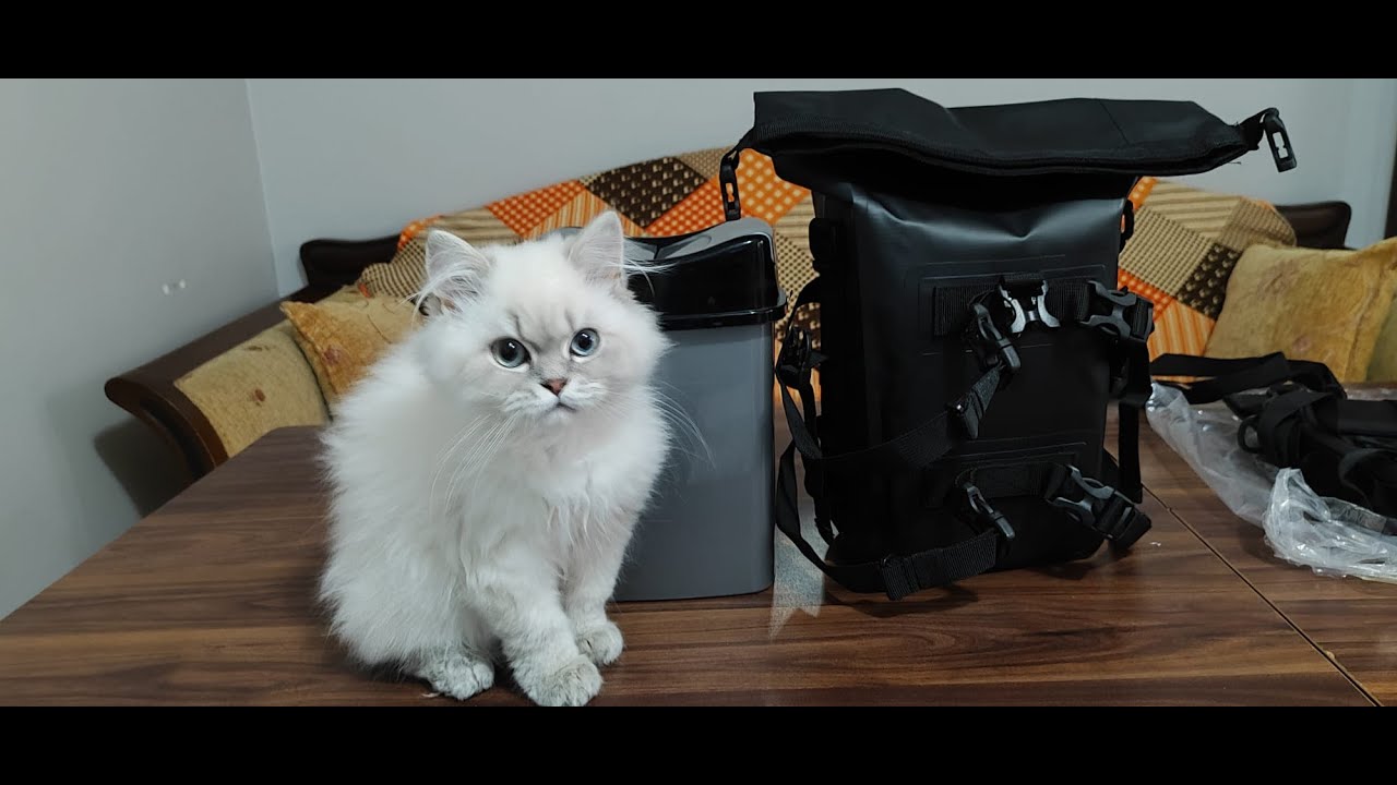 TEMU DAN BENELLİ TRK702X İÇİN YAN HEYBE ÇANTA TANITIMI FİYAT PERFORMANS LİNK AÇIKLAMADA