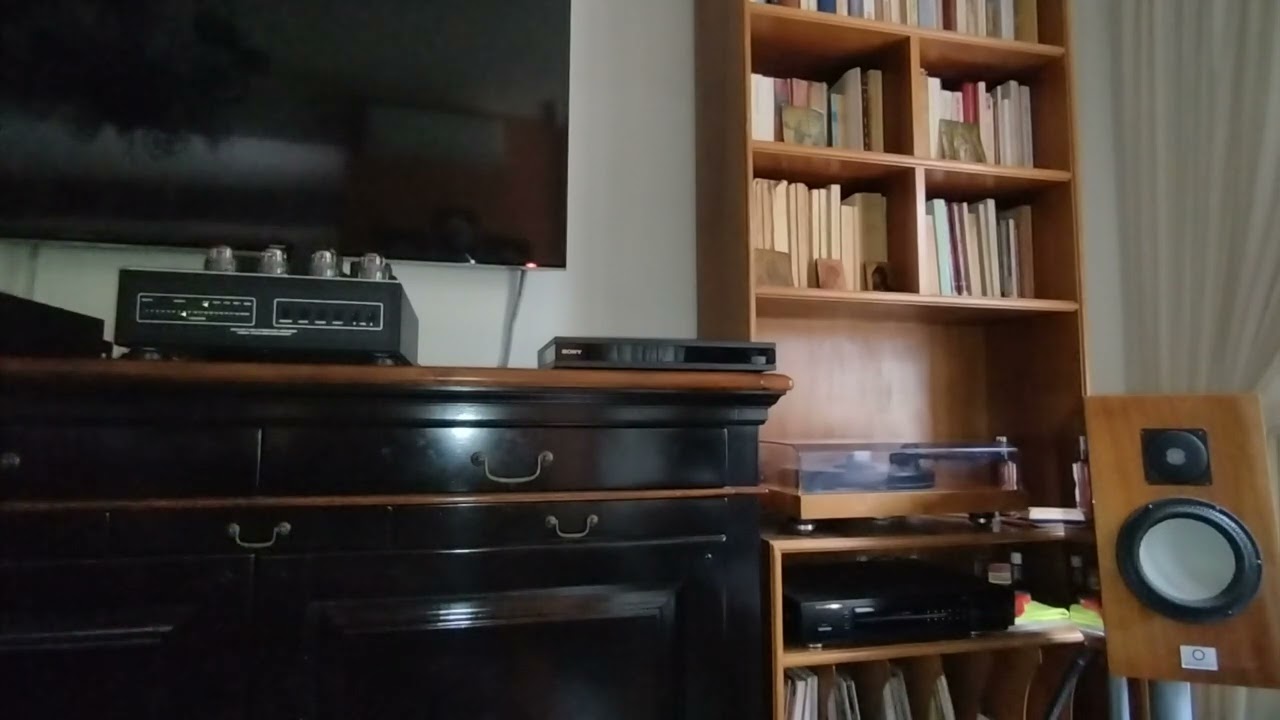 Audio Research vsi55 's great transparency.