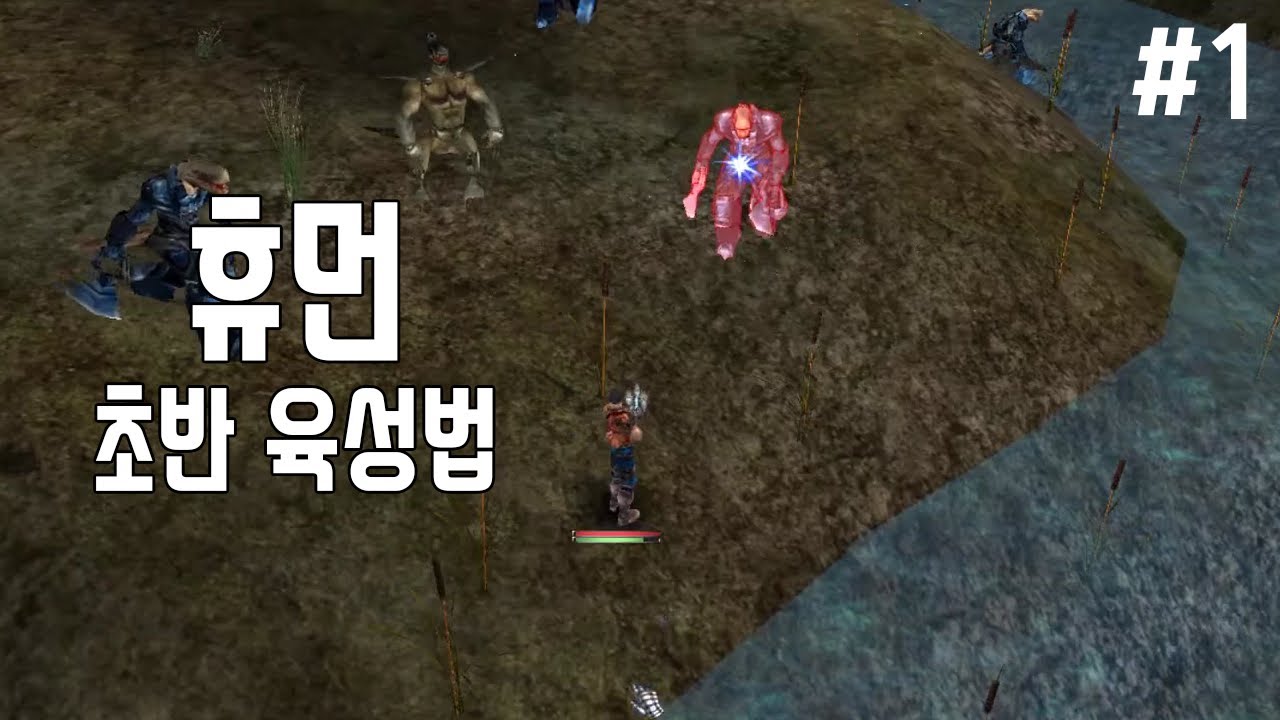 라그하임 휴먼 초반 육성 [작업용 휴먼 1편]