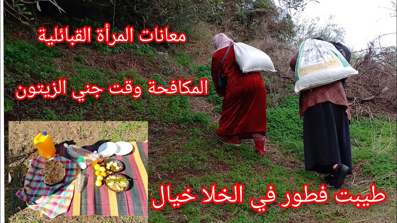 اروع مطلوع ممكن نشوفوه في هذا الڤيديو واش طيبنا الفطور احلا ڤيديو في الخلا