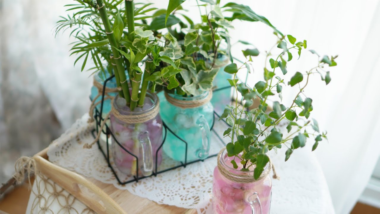 미세먼지 제거를 위한 테이블 연출 I 유리잔과 수경식물 I 젤리소일 ⛵ Glass bottle & Plants 🌊