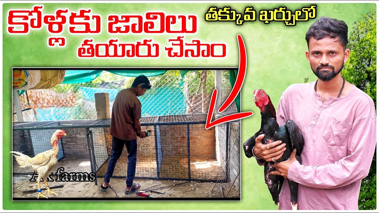 తక్కువ ఖర్చులో కోళ్ల జాలిలు తయారు చేసాం 😍❤️ || best iron cages for hen  || natukolla farm 