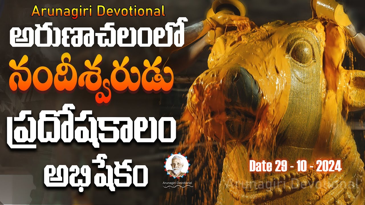 అరుణాచలంలో నందీశ్వరుడు ప్రదోషకాలం అభిషేకం | Pradosham Nandi Abhishekam | Arunachalam Temple