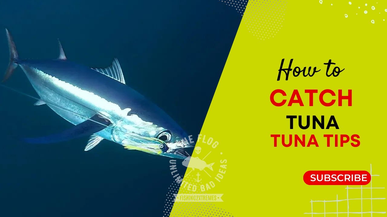 How to Catch Tuna // Tuna Tips