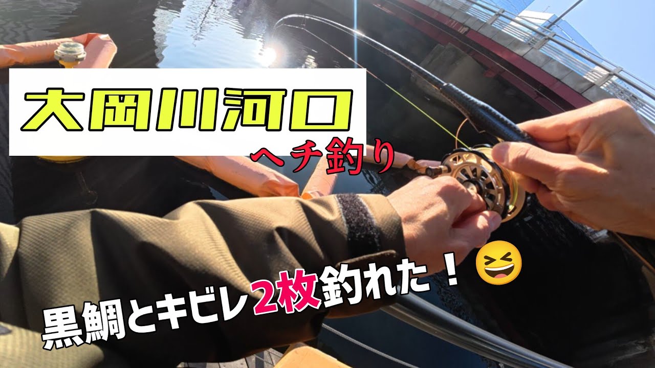 [3月7日]大岡川河口ヘチ釣り／黒鯛とキビレ2枚釣れた！#fishing #ヘチ釣り #黒鯛 