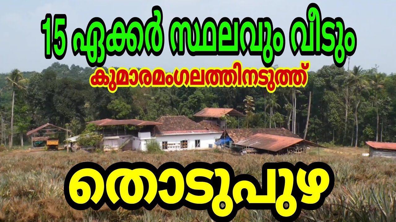 15 Acres of land and an old house for sale at Kumaramangalam, Thodupuzha.