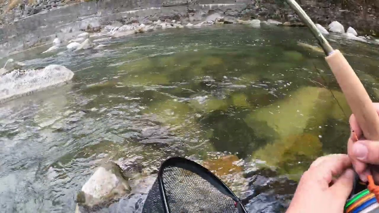 FIUME ALTO SARCA