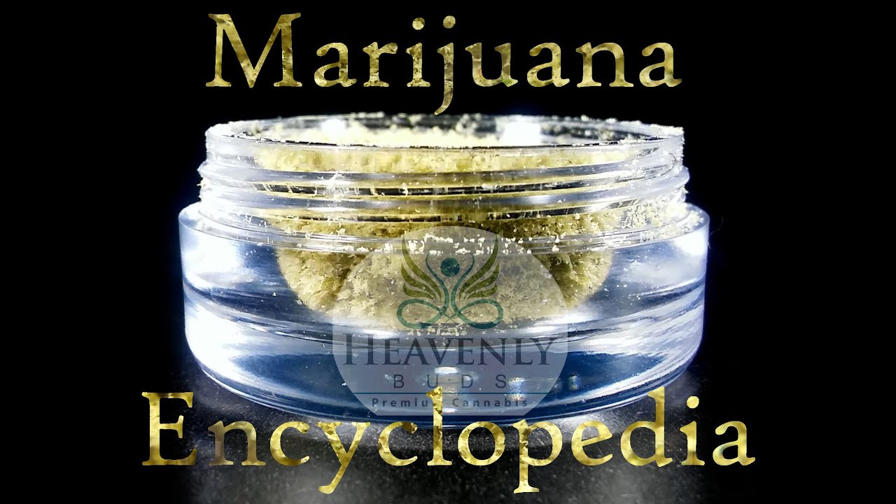 Marijuana Encyclopedia 21 - Heavenly Buds