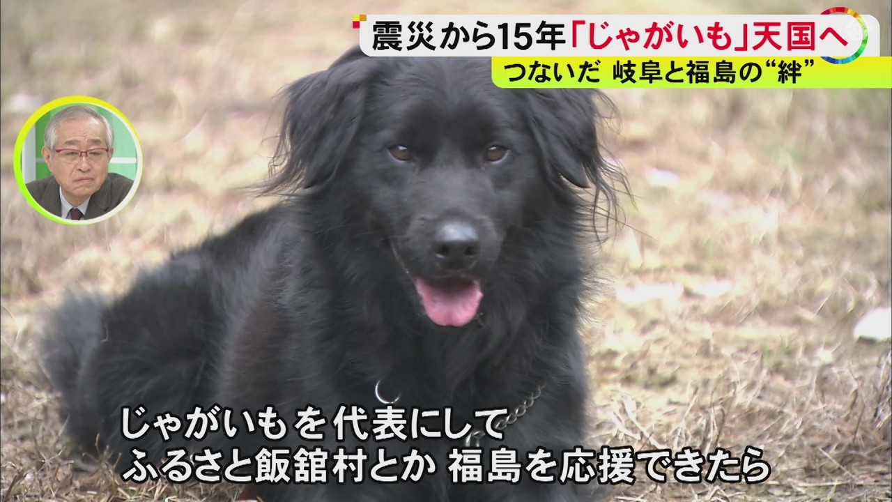 被災地で生まれ11回目で合格&hellip;災害救助犬「じゃがいも」震災から15年を前に天国へ &ldquo;後輩犬&rdquo;が受け継ぐ思い