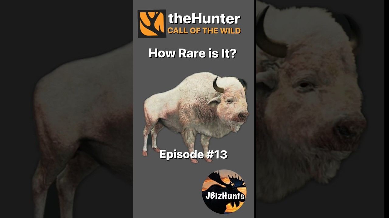 How Rare Is It? Albino Plains Bison | Episode 013 #thehuntercallofthewild #thehuntercotw #cotw
