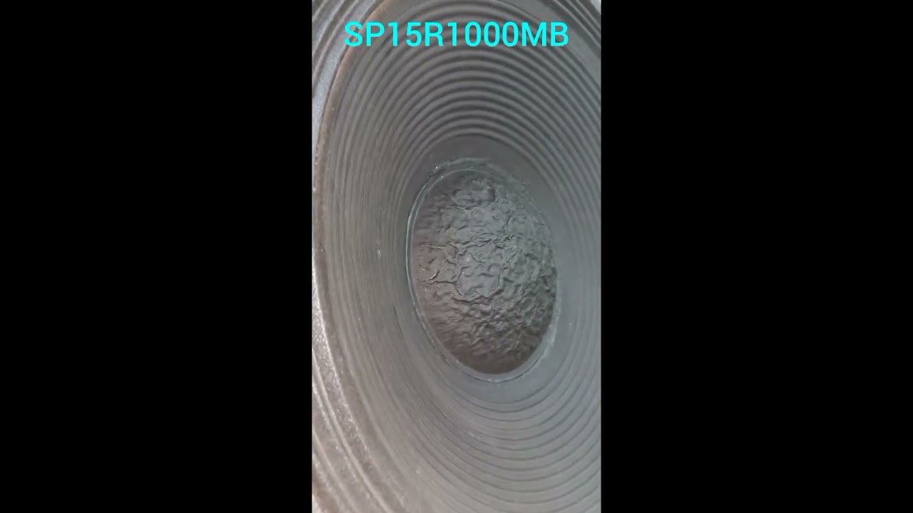 Speaker model-SP15R1000MB/15