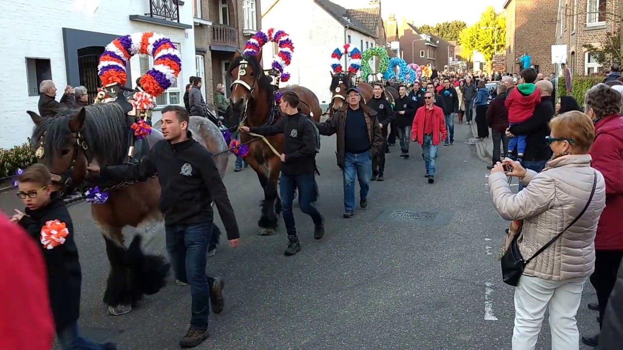 Noorbeek Denhalen 2017 - Jonkheid Sancta Brigida Noorbeek